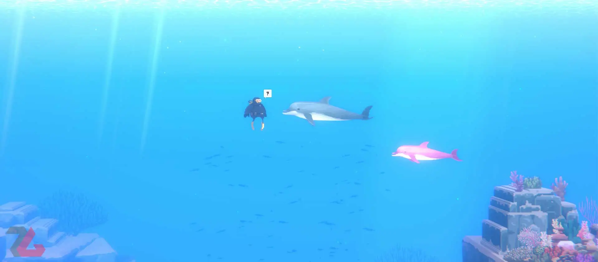 کمک به دلفین صورتی در بازی Dave the Diver